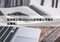 区块链公司bitpush[区块链公司靠什么赚钱]