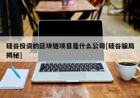 硅谷投资的区块链项目是什么公司[硅谷骗局揭秘]