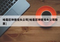 啥是区块链龙头公司[啥是区块链龙头公司股票]